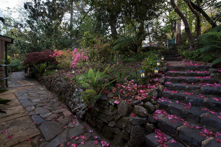 Scenery 9