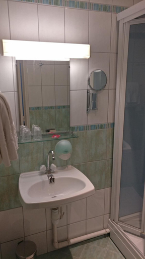Bathroom 3, Hôtel Restaurant Le Parc, Allier