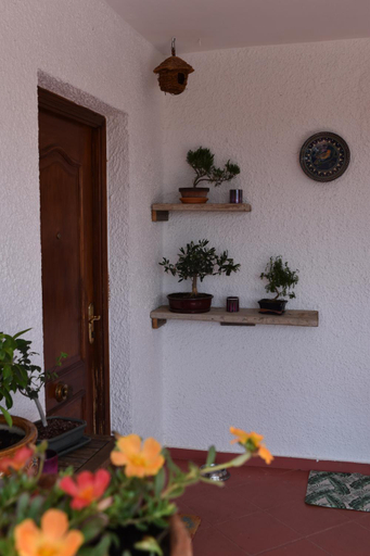 Others 5, Casa Loro Loco B&B, Valencia
