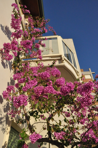 Exterior & Views, Hotel Santa Costanza, Livorno