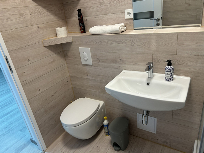 Bathroom 5, Weisses Haus, Vogtlandkreis