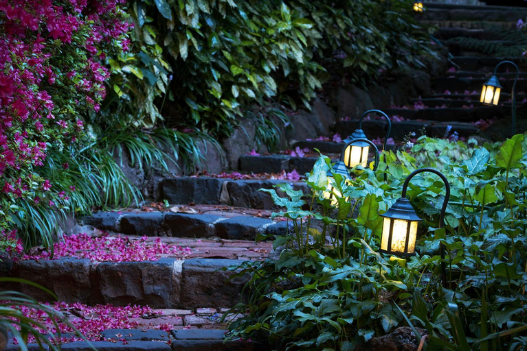 Scenery 8