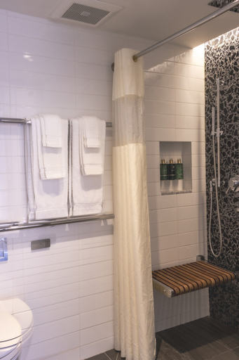 Bathroom 5, Carnegie Hotel, New York