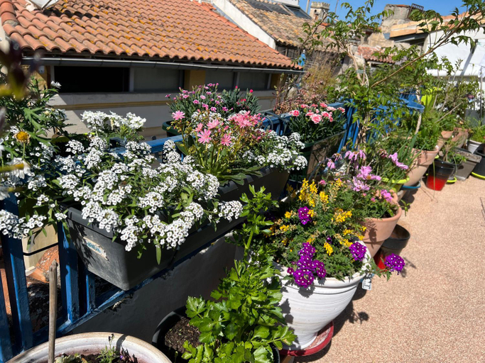 Others 5, Loft Apartment , La Terrasse Centre Ville d'Arles,, Bouches-du-Rhône