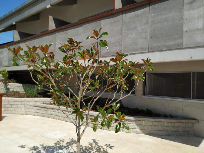 Others 5, Albergaria da Tomasia, Sesimbra