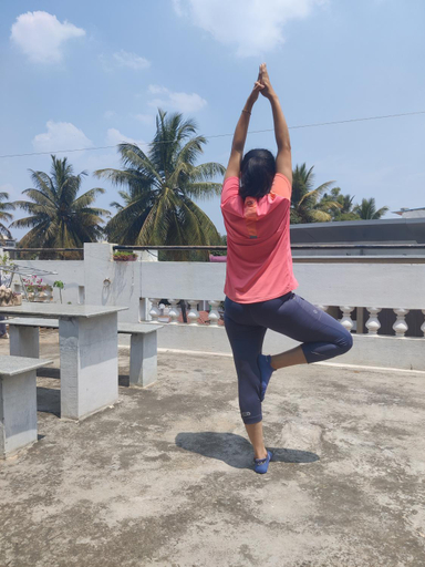 Others 3, Yoga House, Mysore