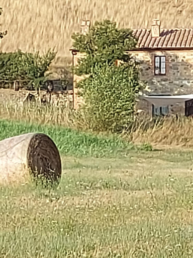 Others 5, Molino della Tuoma, Siena