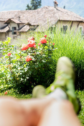Food & Drinks 5, B&B Unterhabsbergerhof, Bolzano