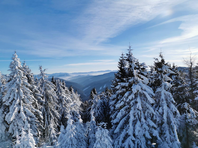 Others 2, Koliba na vrsku, Bytca