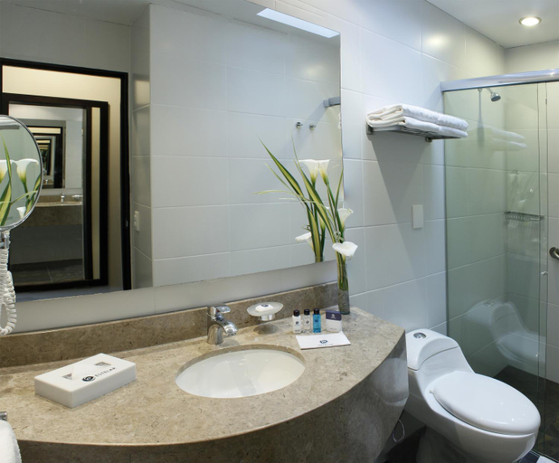 Bathroom 5, Estelar Recinto del Pensamiento, Manizales
