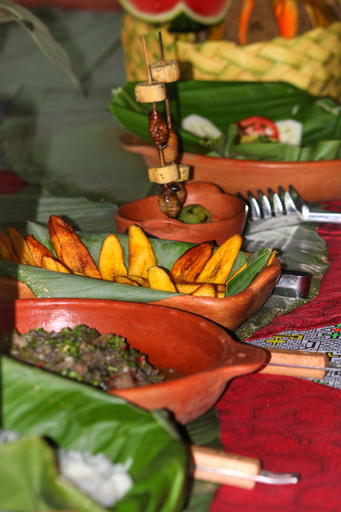 Food & Drinks 4, Amazon Nativo Lodge, Maynas
