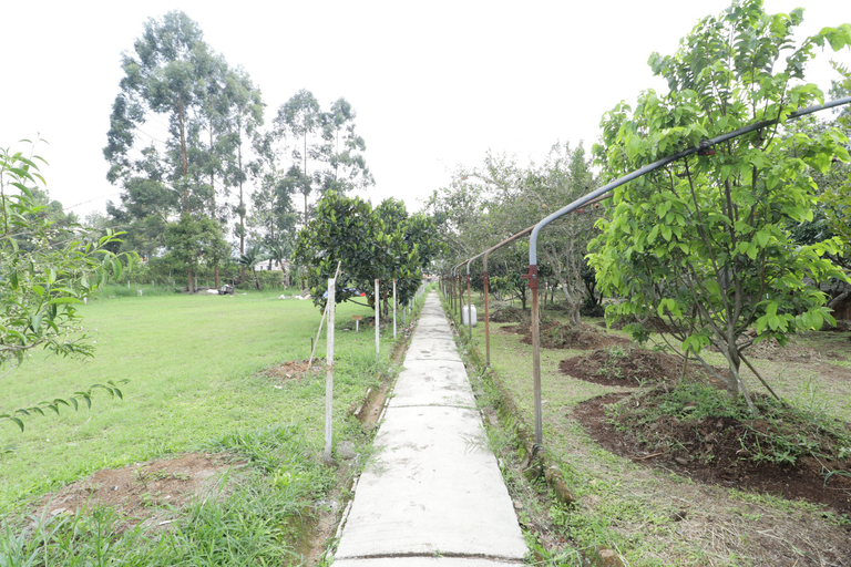 Others 5, Nirwana Lembang, Bandung