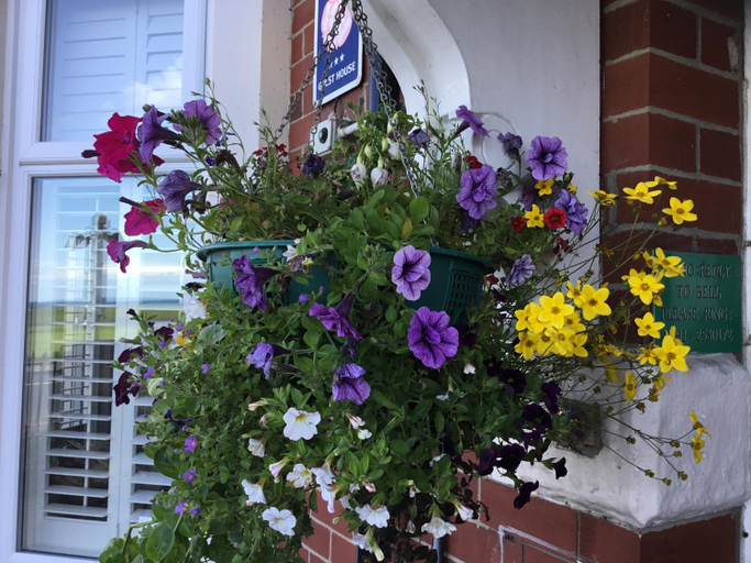 Exterior & Views, The Cara Guesthouse, North Tyneside