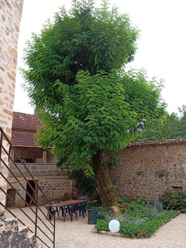 Others 2, Les granges de l abbaye, Tarn-et-Garonne