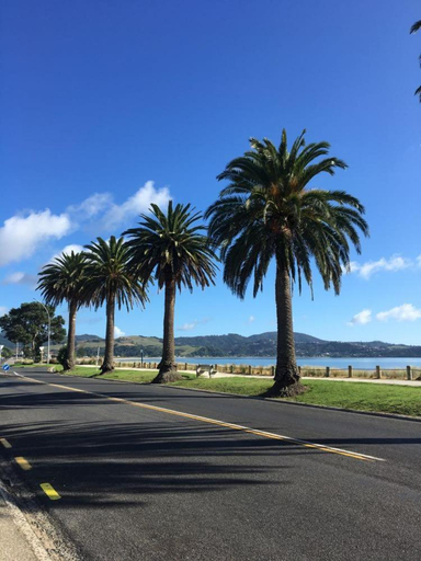 Others 4, Whitianga Motel, Thames-Coromandel
