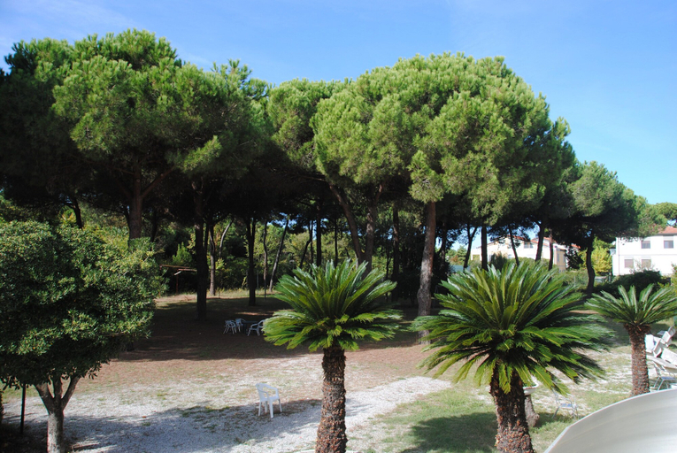 Others 5, Sacro Cuore Hotel, Massa Carrara