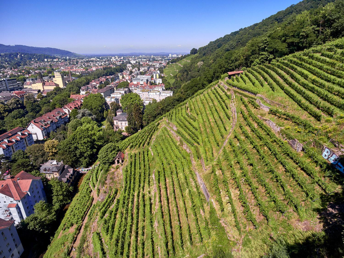 Others 4, Citynahes Apartment fur die ganze Familie oder Gruppen in ruhiger Lage, Freiburg im Breisgau