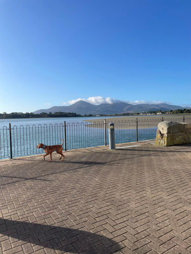 Others 4, The Dundrum Inn B&B, Newry, Mourne and Down
