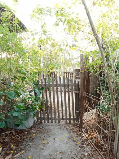 Others 4, peaceland farmstay, Phayuha Khiri