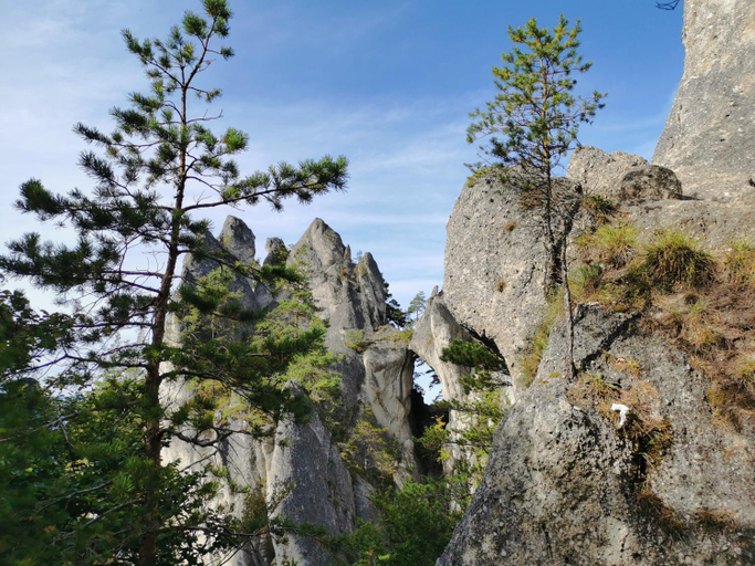 Others 5, Koliba na vrsku, Bytca