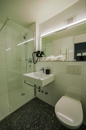 Bathroom 4, Hotel Sursee, Sursee