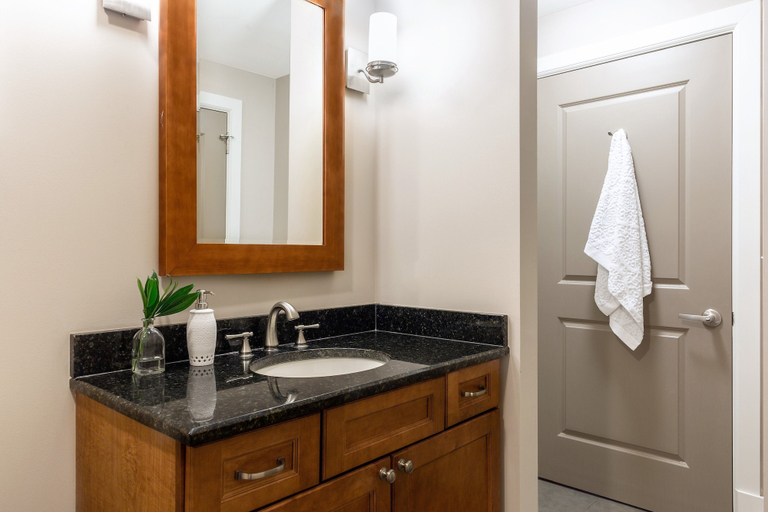 Bathroom 3, Roami at Hibernia Tower, Orleans