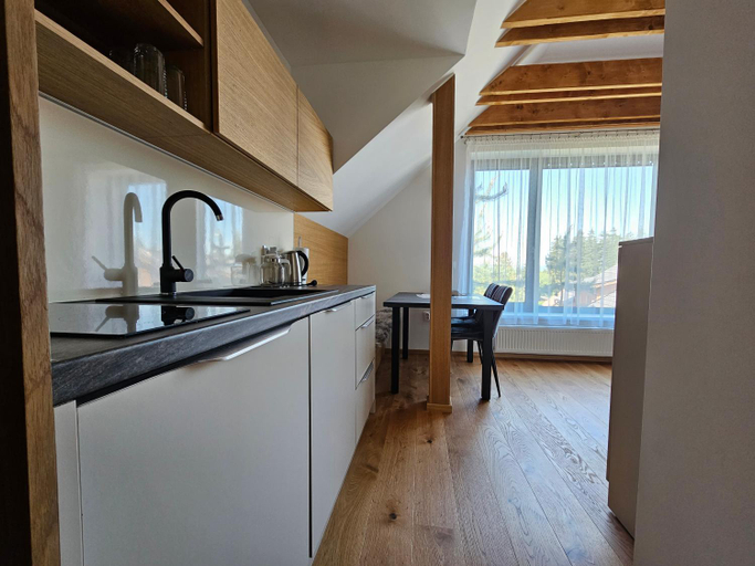 Others 3, BudinSKI Apartmany & Wellness, Liptovský Mikuláš