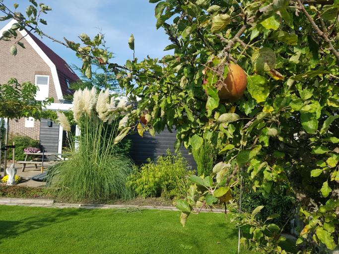Others 5, B&B WELKOM with or no breakfast, Schouwen-Duiveland