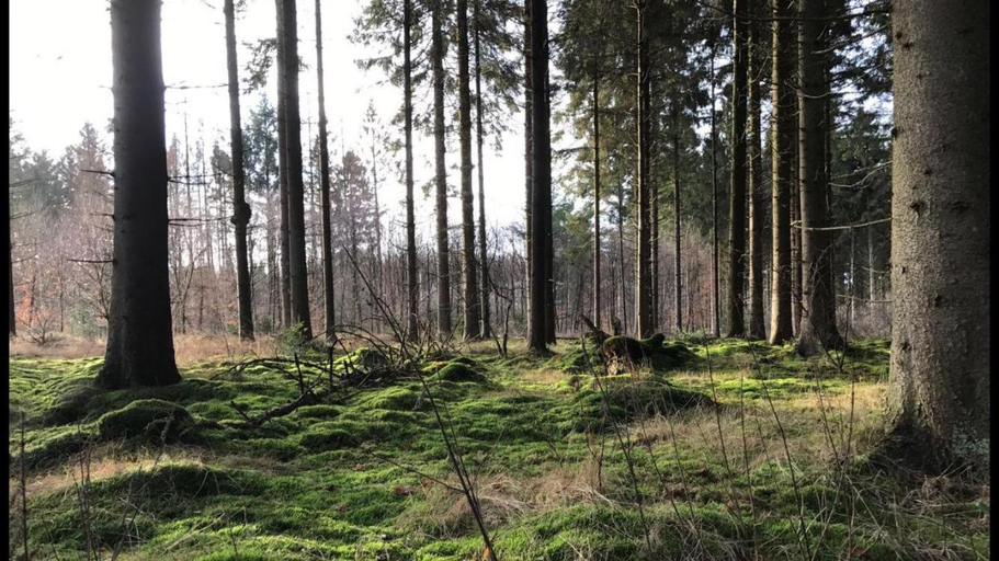 Others 4, Mooiverblijf, Ooststellingwerf