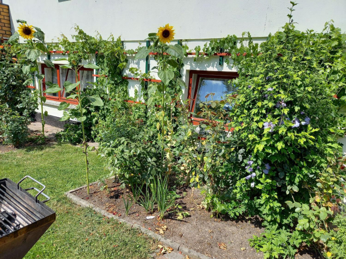 Others 4, Wohnung in Alt Bukow mit Garten, Rostock