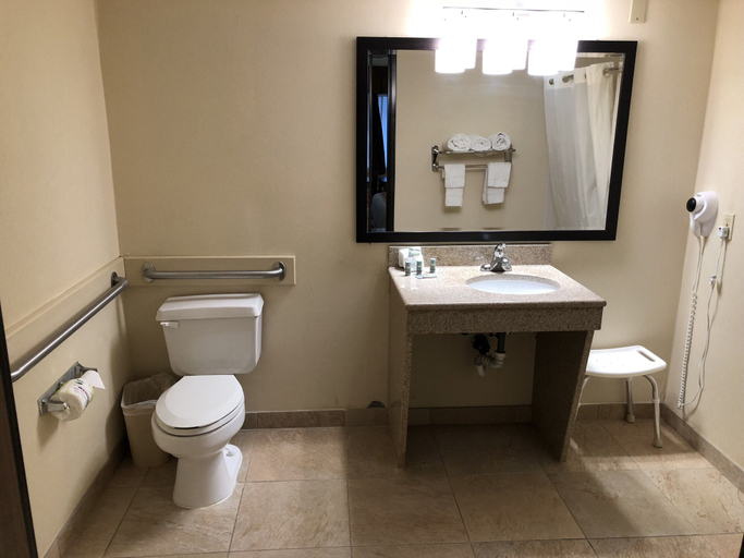 Bathroom 5, MHO Inn & Suites, Middlesex