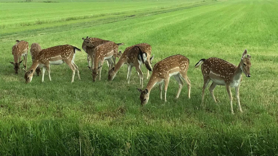 Others 2, Mooiverblijf, Ooststellingwerf