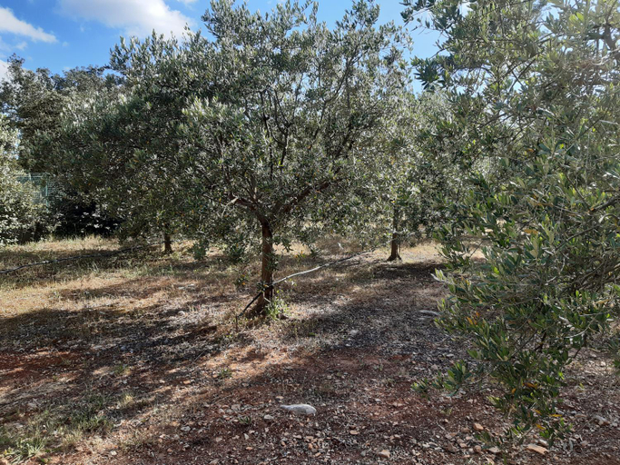 Others 4, Villa Xanadu, Var
