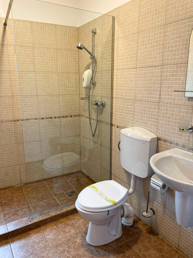 Bathroom 3, Pensiunea Casa Rica, Calimanesti