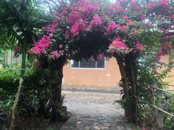 Others 5, Tara guesthouse - Sauraha,Chitwan, Narayani
