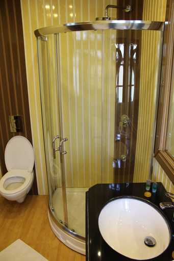 Bathroom 3, New York Houseboat, Srinagar