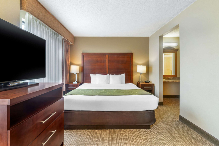 Bedroom 4, Comfort Suites Wilmington near Downtown, New Hanover