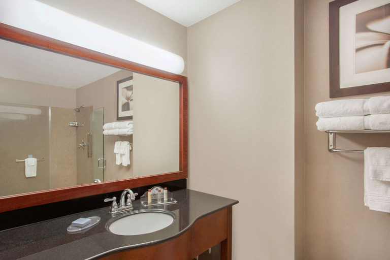 Bathroom 4, Wingate By Wyndham Columbia, Boone