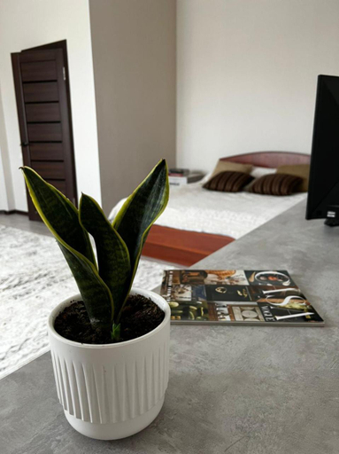 Others 4, Meiman House close to Asia Mall, Bishkek