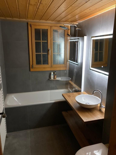 Others 5, Chalet Soldanella, Saanen