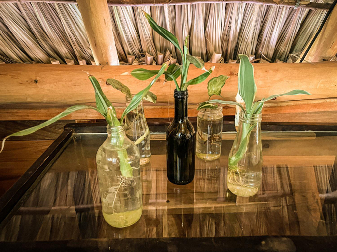 Food & Drinks 5, Casa La Aventura Guasacate - Popoyo, Tola