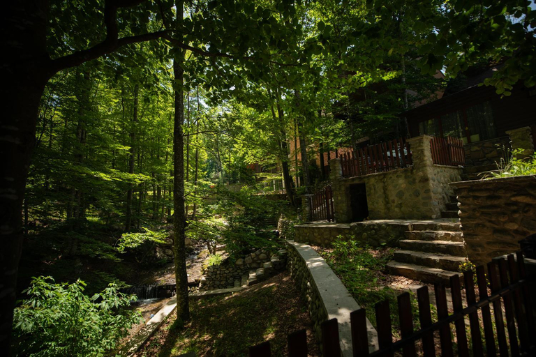 Others 3, Pine Villas Brezovice, Štrpce