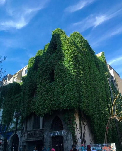 Others 4, Bed & Breakfast Lastarria, Santiago