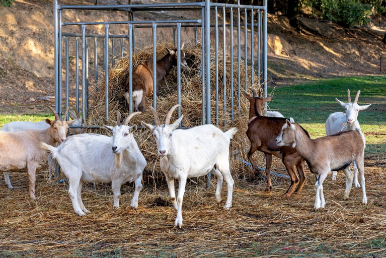 Others 5, Agriturismo Cascina Trevo, Savona