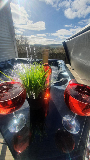 Food & Drinks, Livvi Rosa's Lodge, Northumberland
