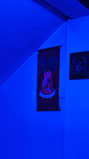 Others 4, Hotel Sauraha Gaida House, Narayani