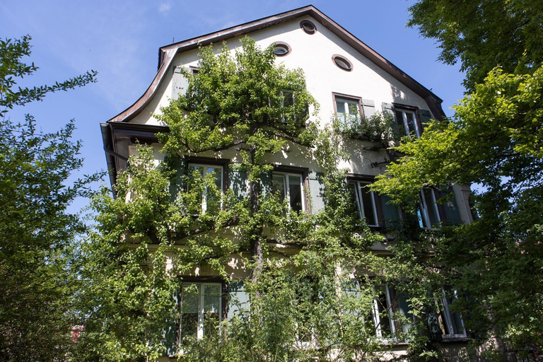 Others 2, villaflora Gastehaus, Biberach