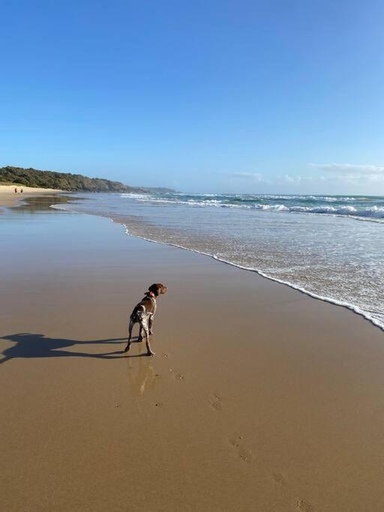 Others 1, SeaSpray House, Coffs Harbour - Pt B