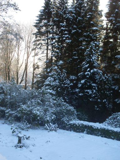 Others 3, lyne view, log cabin, Cumbria