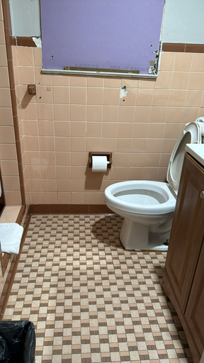 Bathroom 5, Four Oaks, Horry
